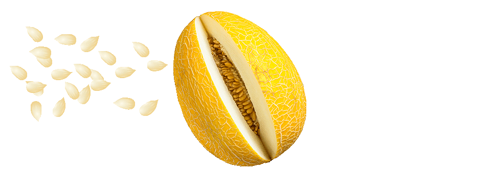 cabecera-para-melones-pepitas-okei_AMARILLO_FINAL