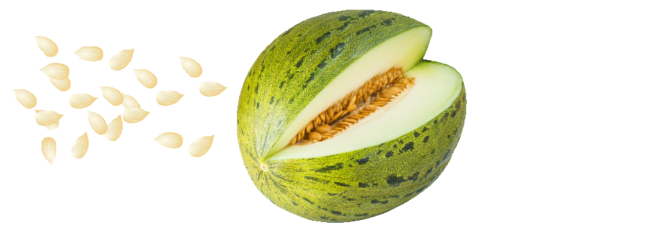cabecera-para-melones-pepitas-okei_verde_FINAL