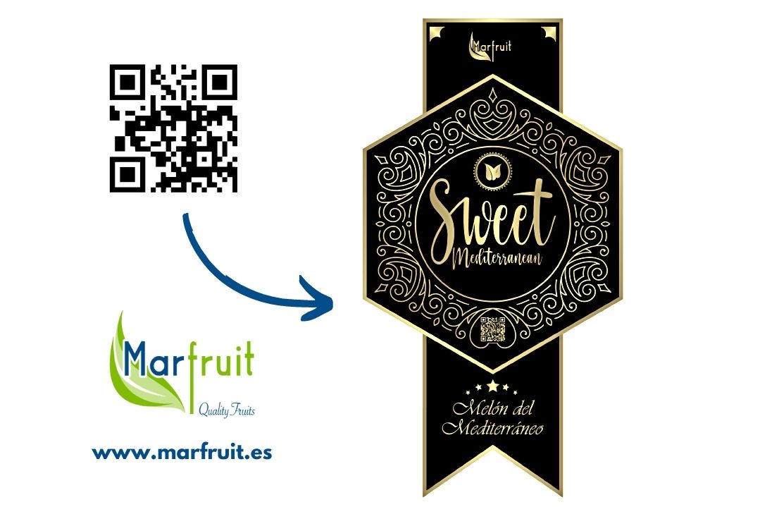www.marfruit.es