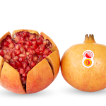 Granada Mollar de Elche